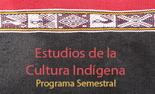 estudios-cultura-indigena
